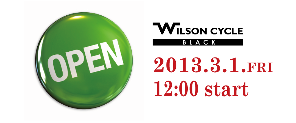 20130225_3.1open